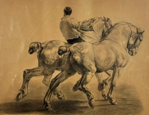 MN (19th/20th century), Rider and horses