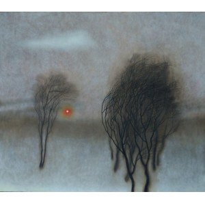 Dawid Zdobylak, Winter, 2019