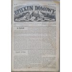 Opiekun Domowy, R.IX: 1873 - [Bolesław Prus- wczesne utwory, korespondencje i recenzje]