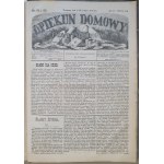 Opiekun Domowy, R.IX: 1873 - [Bolesław Prus- wczesne utwory, korespondencje i recenzje]