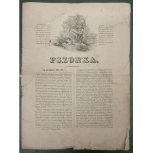 Pszonka, r. 1841: oddział III. Półarkusz 8., Strasburg [„Co zgubiło Polskę”]