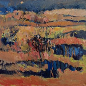 Barbara BOKOTA-TOMALA (ur. 1967), Z cyklu 