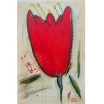 Ryszard GROSZ (ur. 1964), Czerwony, z cyklu: 