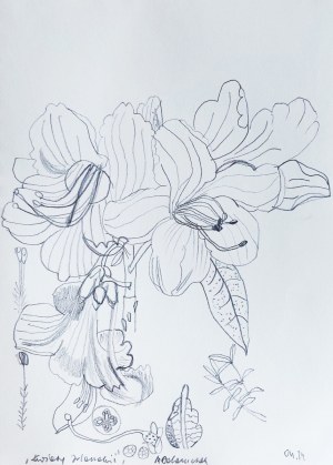 Malgorzata ADAMCZAK (b. 1969), Flowers of Ireland, 2024