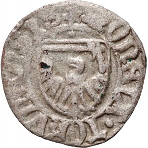Kazimierz IV Jagiellończyk 1446-1492, szeląg, Toruń