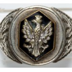 Polska, sygnet patriotyczny z orłem