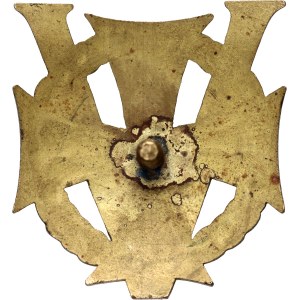 Polska, odznaka V Odcinka Obrony Lwowa z 1918 roku