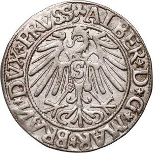 Prusy Książęce, Albrecht Hohenzollern, grosz 1544, Królewiec