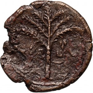 Roman Empire, Provinces, Judea, Bar Kochba Revolt 132-135, bronze