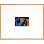 ALBERTO BURRI (Citt