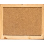 ALBERTO BURRI (Citt