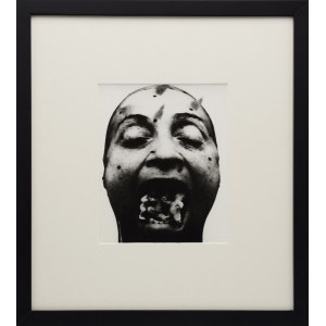 Natalia LL (1937-2022), Downy tragedy - II, 1987