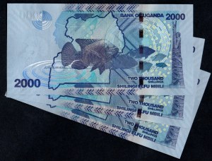 Uganda. 2000 Shillings 2010 3 Consecutive Pieces