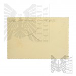 2 WŚ / II RP Zdjęcie Rozbitych Pojazdów - Wrzesień 1939 rok.