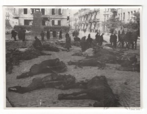 Okupace - 1939 Varšava Náměstí Krasińskich - Zabití koně Foto