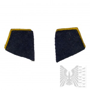 PSZnZ Infantry Collar Patches