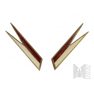 PSZnZ Pair of Pennants of the 1st Krechowiecki Cavalry Regiment