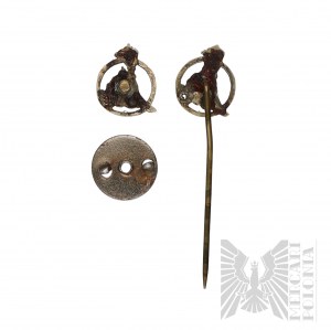 Ensemble de deux insignes miniatures de l'Association of Ancient Arms and Colours Enthusiasts (Association des amateurs d'armes anciennes et de couleurs) du 20e siècle