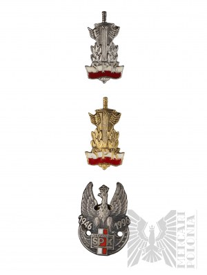 PSZnZ - Set di distintivi dell'Associazione Polacca dei Combattenti SPK