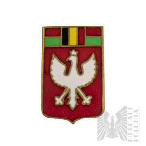 IIRP/PSZnZ Patriotic Badge Madagascar Belgium