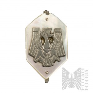 PSZnZ Patriotic Badge.
