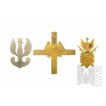 Third Republic Eagles/ Badge Intermediate Set.