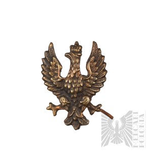 II Republic of Poland National Eagle pattern 19.