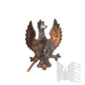 II Republic of Poland National Eagle pattern 19.
