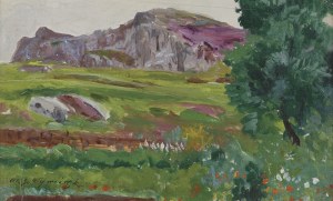 Michał Gorstkin Wywiórski, ZIELONA POLANA PRZED SZARYMI SKAŁAMI, 1906-1907