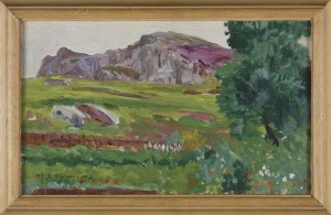 Michał Gorstkin Wywiórski, ZIELONA POLANA PRZED SZARYMI SKAŁAMI, 1906-1907