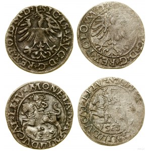 Polska, zestaw 2 x półgrosz, 1565, Wilno