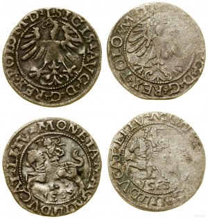 Poland, set of 2 x half-penny, 1565, Vilnius