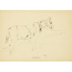 Wlastimil Hofman (1881-1970), Studium konia