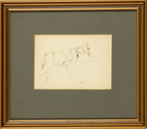 Wlastimil Hofman (1881-1970), Study of a Horse