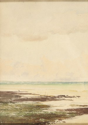 Henryk Cieszkowski (1835-1895), U moře
