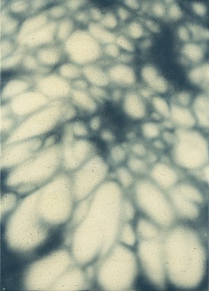 Daniel Kowacki (ur. 1997, Częstochowa), 