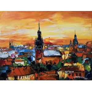 Małgorzata Stefaniak, Cracovia, 2023