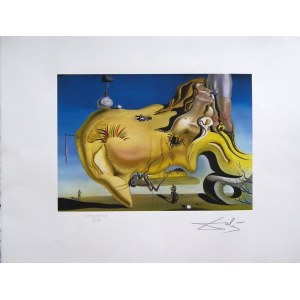 Salvador Dali(1904-1988),The Great Masturbator