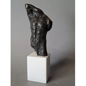 Waldemar MAZUREK (ur. 1961), Tors, 2023