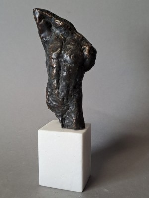 Waldemar MAZUREK (ur. 1961), Tors, 2023