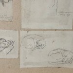 L. SERRA, Lot of 16 drawings on paper, featuring various subjects grouped on three sheets - L. Serra
