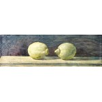 Andreas Schiller, Lemons