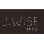 Jedrzej Wise (nar. 1987), Bez názvu, 2023