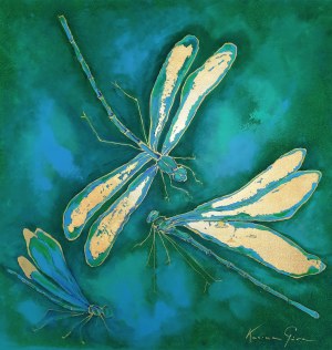 Karina Gora, Dragonflies