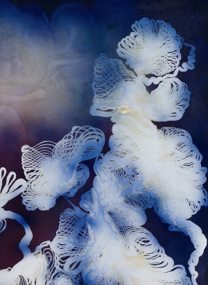 Edyta Hul, Species Mitology, 2023