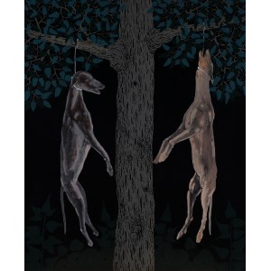 Michał Cygan, Galgo, 2024