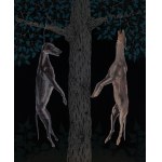 Michał Cygan, Galgo, 2024