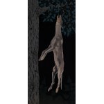 Michał Cygan, Galgo, 2024