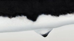 Dawid Czycz, Orka, 2015