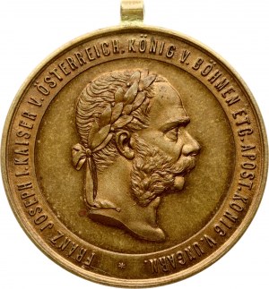 Medaglia al servizio di guerra dell'Austria 2 dicembre 1873